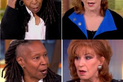 🚨”End of the Road”: ABC Cancels The View After Decades – Whoopi and Joy’s Sudden Departure Explained! (NG)