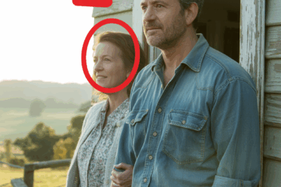 Husband and Wife Vanished Without a Trace in 1964 — Three Decades Later, a Crate Beneath the Trees Revealed the Truth (tt)