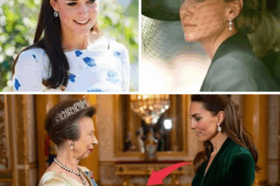 Princess Anne secretly gifts Queen Elizabeth’s priceless brooch to Kate, leaving Zara Tindall shocked, heartbroken, and overlooked. Royal drama explodes!