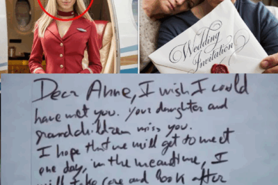 The Decade-Long Mystery of a Vanished Stewardess Ends with a Letter That Changes Everything