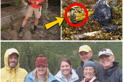 She Vanished From the Appalachian Trail — Two Years Later, a Navy Contractor Stumbled Upon a Chilling Discovery (tt)