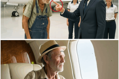 They Mocked the Farmer’s Simple Clothes — But They Never Expected He Was the Richest Man in the Country (tt)