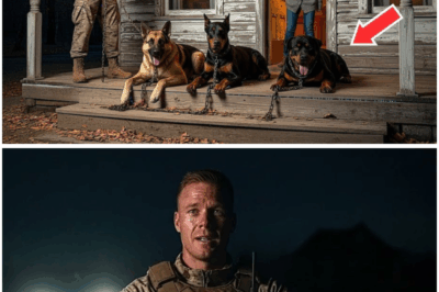 A Marine Returned Home to Find His 3 Dogs Shivering on the Porch — What He Found Left Him in Tears (tt)