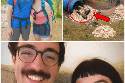 Young Couple Vanished Hiking in Alaska, 9 Months Later a Ranger Makes a Disturbing Discovery (tt)