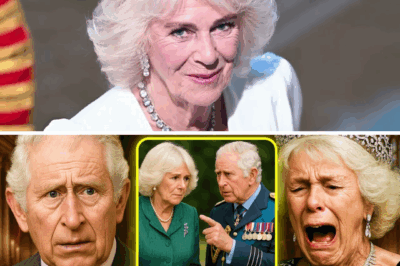 2 MIN AGO: Charles Strips Camilla Of Royal Title During Private Family Meeting