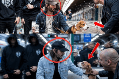 Keanu Reeves Caught in Hilarious Incident as Homeless Beggar Gets Robbed and Dog Mocked
