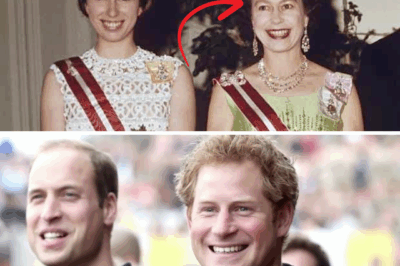 Princess Anne, Prince Harry & William Announced To The Public What Really Happened