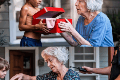 Unexpected Delivery: Young Boy Brings Shoebox to Elderly Woman, Her Reaction Is Instant