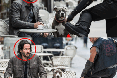Shocking Moment: Biker Kicks Dog, Doesn’t Know Keanu Reeves Is Watching
