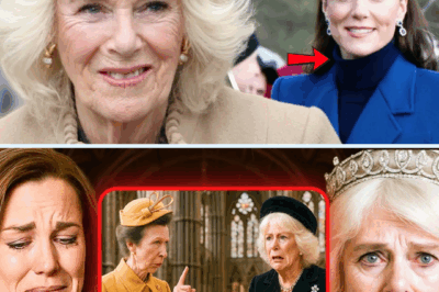 Queen Camilla’s trembling apology to Princess Catherine stuns the world—what secret betrayal forced this historic humiliation?