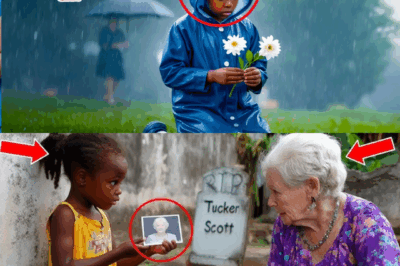 A Child’s Unexpected Confession at a Grave Turns a Widow’s World Upside Down