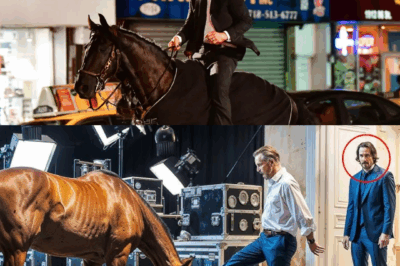 Horse Abused on Film Set, Unaware Keanu Reeves Is Watching