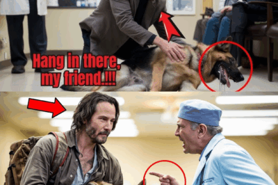 Vet Denies Treatment to Keanu Reeves’s Dog, Regrets Everything After Shocking Revelation