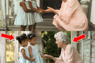 Twins’ Unexpected Confession Turns an Ordinary Day into an Emotional Rollercoaster