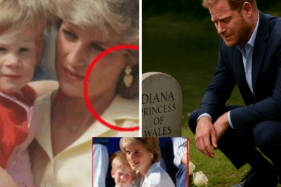 Prince Harry secretly visits Princess Diana’s grave, kneels alone, whispering heartbroken words—fans worldwide are left stunned and teary-eyed.