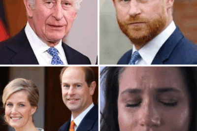 Exiled Sussexes, Rising Shadows: As Meghan and Harry vanish into silence, whispers swirl of a velvet-gloved coup inside Buckingham Palace. At the center? Sophie and Edward — no longer the quiet supporters, but the ruthless strategists. Every glance, every outfit, every “private” meeting fuels suspicions of a takeover already in motion. And now, a single dress worn in secret may have revealed everything. Is this the monarchy’s most shocking power play yet — and who, if anyone, can stop it?