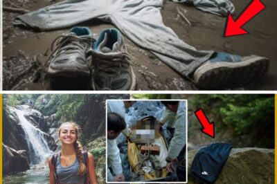 A Flood, a Skull, and a Stalker: How a Two-Year-Old Disappearance Became a Chilling Murder Case