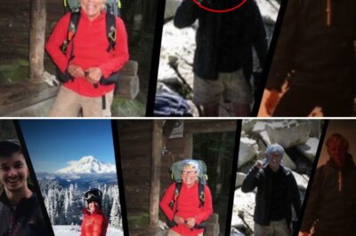 Unsolved No More: Five Missing Hikers, Decades-Long Mysteries, and the Haunting Discoveries That Finally Gave Their Families Closure