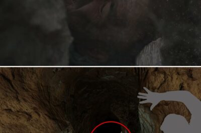 The Trapped Caver: A Race Against Time in the Depths of a Kentucky Cave