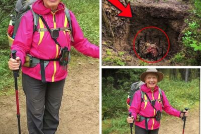 The Chilling Discovery That Solved the Mystery of the Vanished Hiker