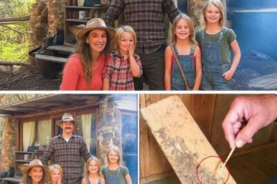 A Decade of Lies Buried Under a Family’s Floorboards: The Chilling Secret of the Pasternac Disappearance