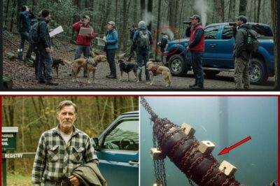 A Secret Submerged for 7 Years: The West Virginia Cold Case That Defied Logic