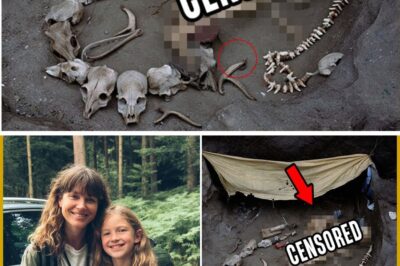The Forest’s Silent Scream: The Chilling Discovery That Unraveled a Decade-Old North Carolina Mystery