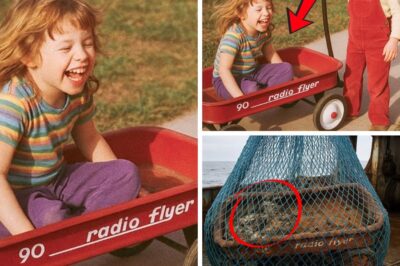 The toy of two missing sisters suddenly appeared: Was the old case hidden?