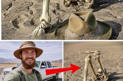 A Ghost in the Sand: What a Veteran’s Long-Lost Journal Reveals About His Haunting Disappearance in Death Valley