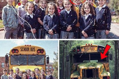 The Forest Remembers: A 34-Year-Old Mystery Solved in the Smoky Mountains