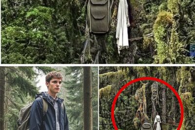 The Silent Sentinel of Mount Rainier: Unraveling the Eerie Disappearance and Shocking Discovery of a Hiker.