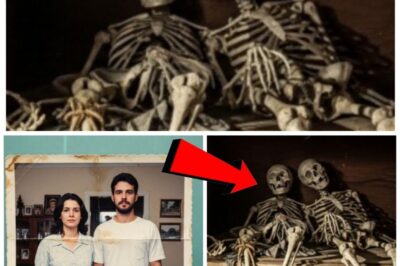 The Unsolved Vanishing: A Chicago Couple Disappears in New Orleans, And the Truth Was Buried for 21 Years.