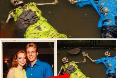 The New Year’s Eve Disappearance That Uncovered a Vicious Plot of Revenge.