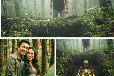 Poconos Cold Case Solved: A Tourist’s Discovery Ends an 11-Year Mystery.