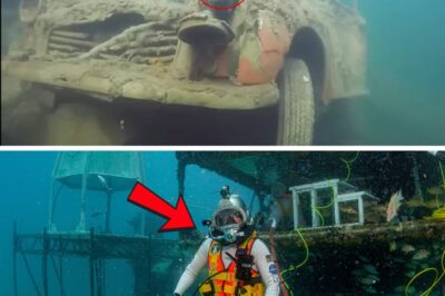 A Chilling Discovery: Amateur Diver Solves 40-Year-Old Disappearance of Father and Daughter