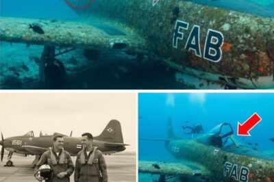 The Pilot Who Vanished: How a Love Letter Preserved at the Bottom of the Sea Finally Solved a 40-Year-Old Mystery