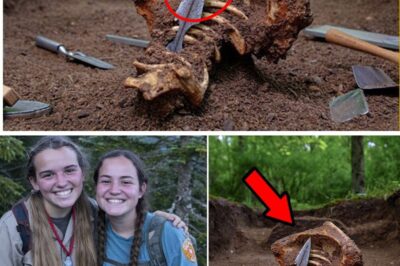 The Arrowhead Paradox: How a 150-Year-Old Weapon Solved a Modern-Day Cold Case.