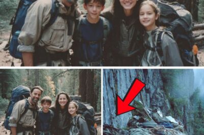 The Echoes of a Cold Case: What Climbers Found in Poland Finally Revealed a Family’s Dark Fate