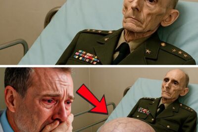 General’s Unprecedented Pregnancy Stuns Medical World, Newborn’s Condition Causes Doctor to Faint