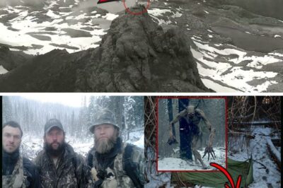 The Alaskan Wendigo: A Bone-Chilling Mystery That Defies Explanation