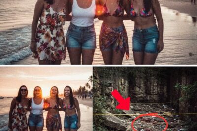 Friends went missing on a beach in 2018 — 4 years later, police found something devastating