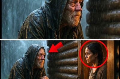 A beggar asked for shelter in a shack and the next day bought the entire land.