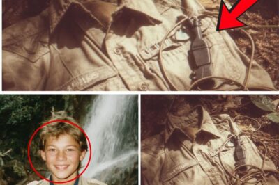 A Boy Scout Vanished at Watkins Glen in 2013 — 10 Years Later Hikers Found His Clothes by the Falls.