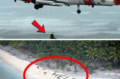 33 Days of Hell: The ‘SOS’ on a Deserted Island That Sparked an Agonizing Race Against Death
