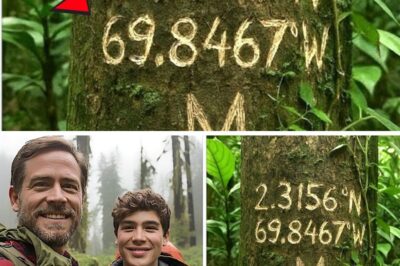 Vanished for 15 Years: Logger’s Discovery Uncovers Hiker’s Journal, Revealing a Chilling Secret in the American Wilderness