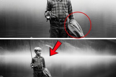 Vanished in the Rockies, 12 years later he returns — a discarded VHS reopens the case