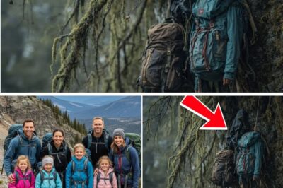 The Mountain’s Last Secret: How a Single Discovery Solved a Six-Year Vanishing Act in the Rockies