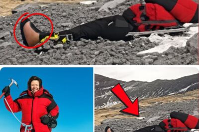 The Whispers of Alpamayo: The Terrifying Return of Elena Castillo.