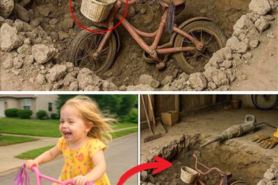 The Concrete Tomb: A Mother’s 12-Year Search Finds Hope Buried, And A New Nightmare Unleashed