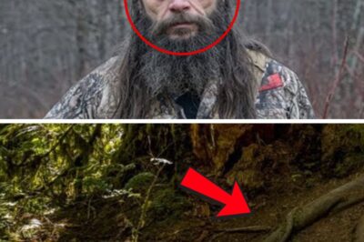 The Hunter, The Barn, and The Brutal Secret: How a Cold Case Was Solved by a Chilling Confession